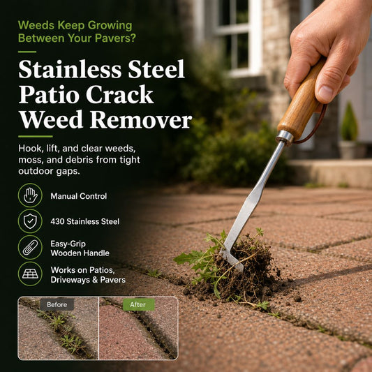 Stainless Steel Patio Crack Weed Remover | Manual Hook Tool for Pavers, Driveways & Sidewalks-ASS1