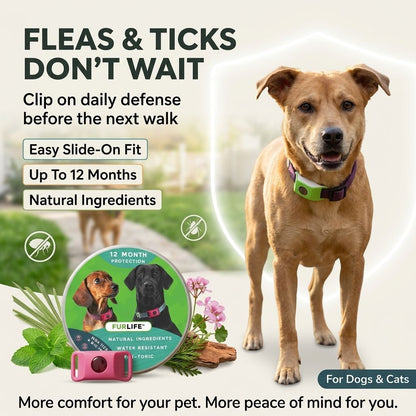 Fleas & Ticks Don’t Wait — Clip On Daily Defense Before The Next Walk-QDL
