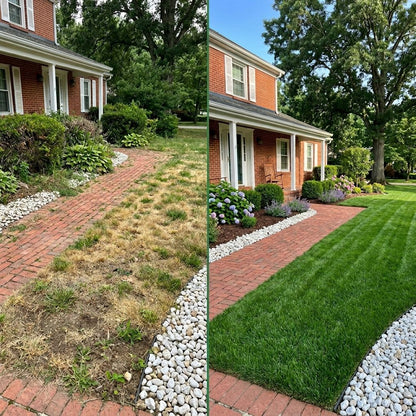 Fix Patchy Bare Spots & Bring Your Lawn Back to Life 🌱-QDL