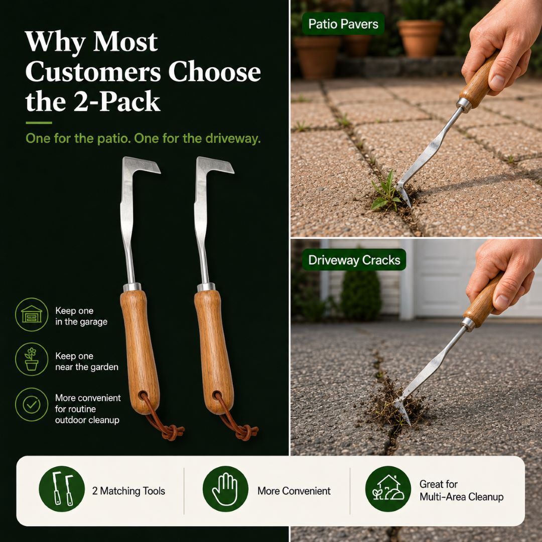 Stainless Steel Patio Crack Weed Remover | Manual Hook Tool for Pavers, Driveways & Sidewalks-ASS1