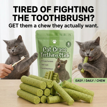 Stop Fighting The Toothbrush. Give Your Cat Something Better To Chew-QDL