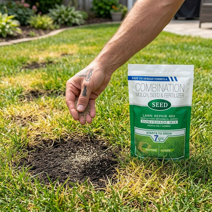 Fix Patchy Bare Spots & Bring Your Lawn Back to Life 🌱-QDL
