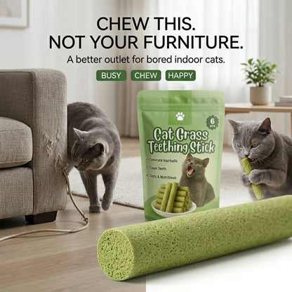 Stop Fighting The Toothbrush. Give Your Cat Something Better To Chew-QDL