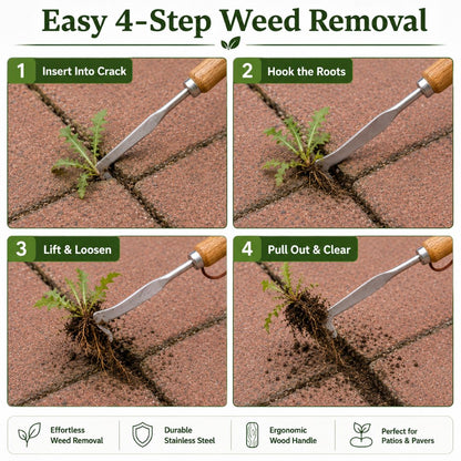 Stainless Steel Patio Crack Weed Remover | Manual Hook Tool for Pavers, Driveways & Sidewalks-ASS1
