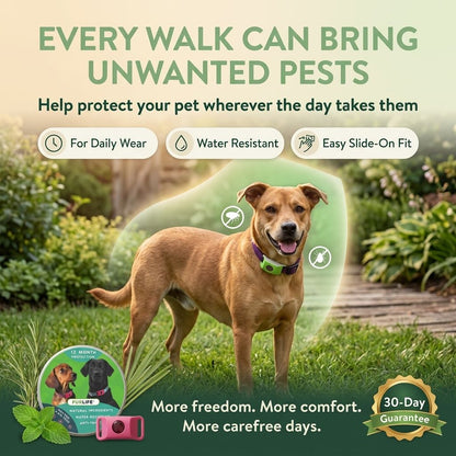 Fleas & Ticks Don’t Wait — Clip On Daily Defense Before The Next Walk-QDL