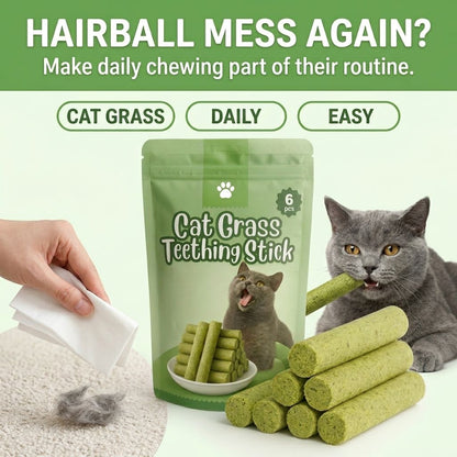 Stop Fighting The Toothbrush. Give Your Cat Something Better To Chew-QDL