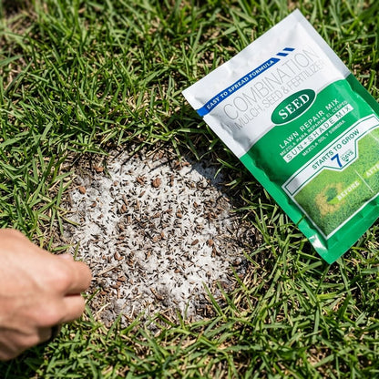 Fix Patchy Bare Spots & Bring Your Lawn Back to Life 🌱-QDL