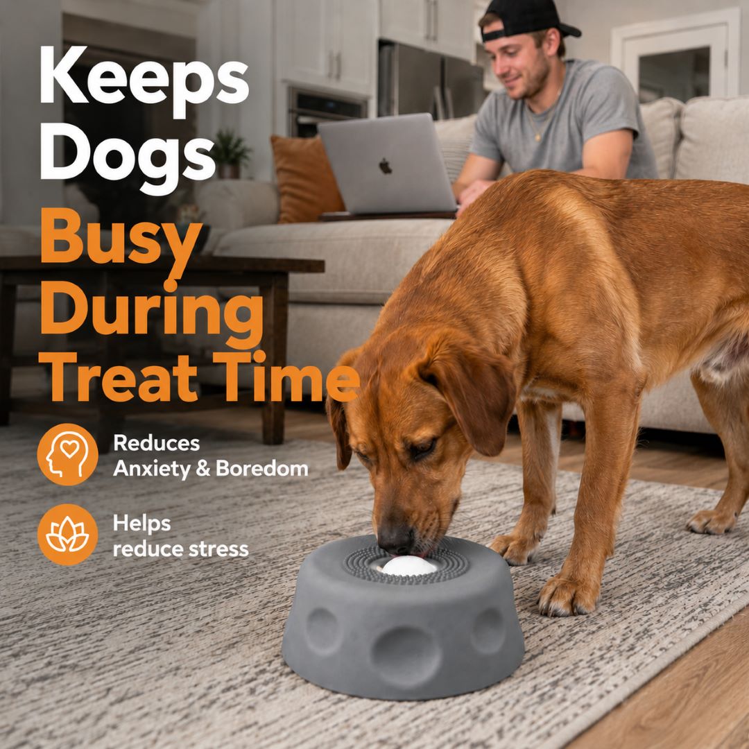 Rolling Ball Dog Lick Bowl-Slow treat feeder for yogurt, bone broth & wet food.-ASS1