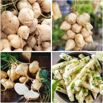 Buy1Get2 Hot Deal | Home Grow Sweet Crispy Jicama Seeds -AFF