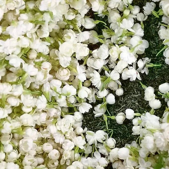 🔥LAST DAY Promotion 49% OFF 🌸Beautiful Jasmine Potted Plant(Can be planted in winter)-QDL