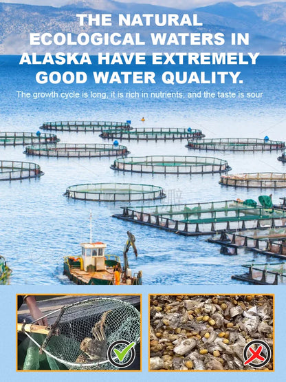 Alaskan Snow Crab Ready-to-EatCrispy Crab-ASS1